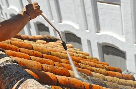 Nettoyage de toitures - Trèves